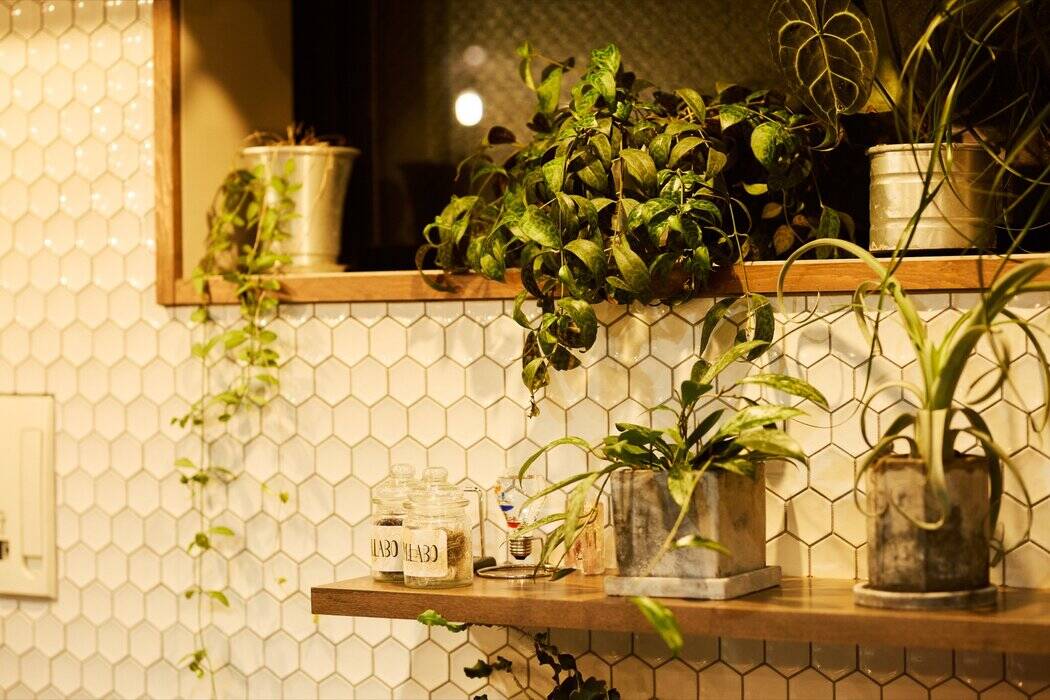 MARE laboratorio 店内